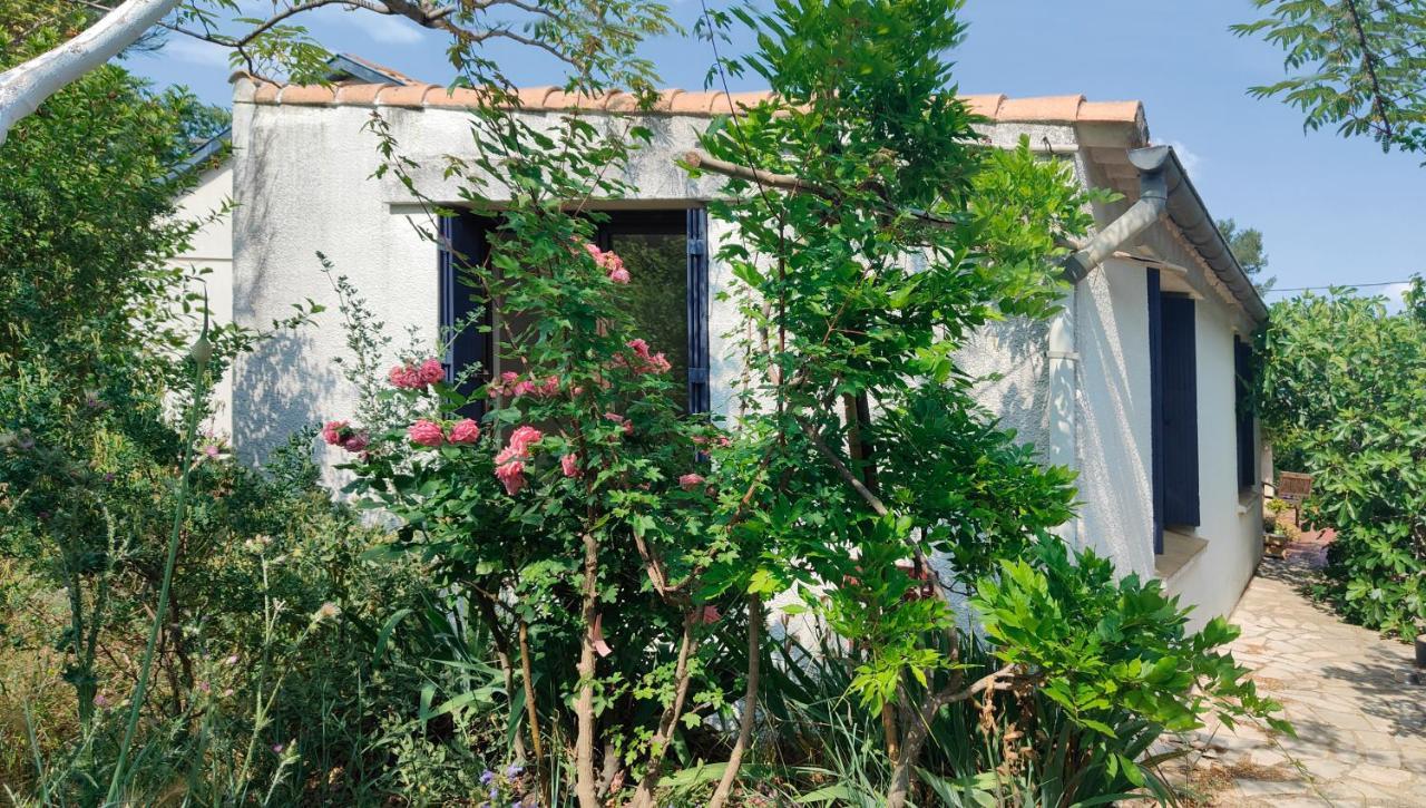 Chambre Privee Dans Maison En Garrigue Ним Экстерьер фото